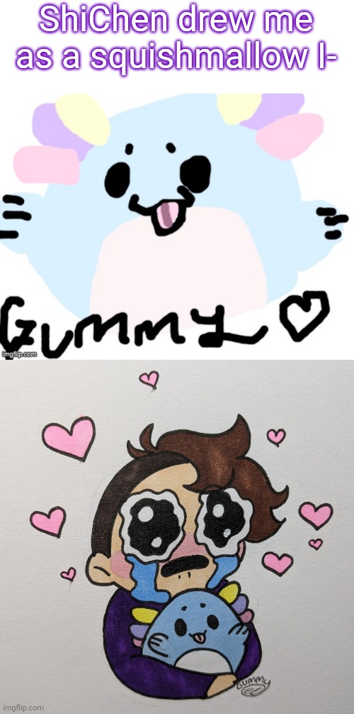 Ajdhsjfbfsk getting fanart makes me so happyyy | ShiChen drew me as a squishmallow I- | made w/ Imgflip meme maker