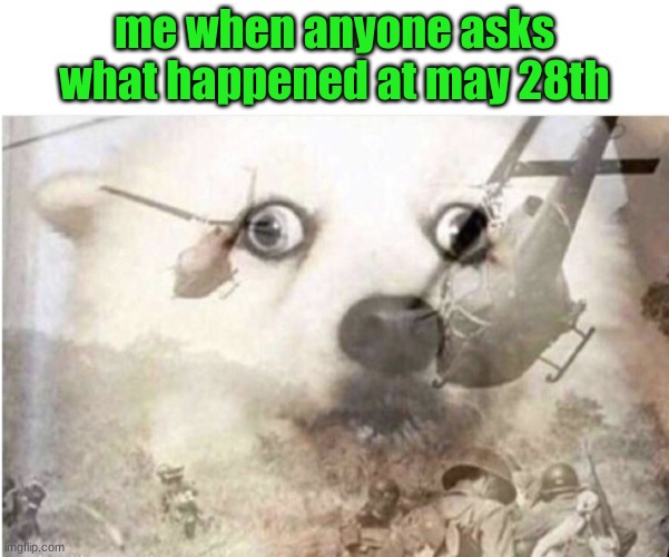 vietnam dog | me when anyone asks what happened at may 28th | image tagged in vietnam dog | made w/ Imgflip meme maker