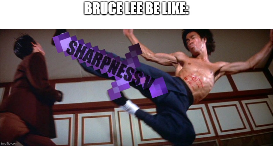 Bruce Lee Be Like... | BRUCE LEE BE LIKE:; SHARPNESS V | image tagged in bruce lee,minecraft,movies,action movies,fighting | made w/ Imgflip meme maker