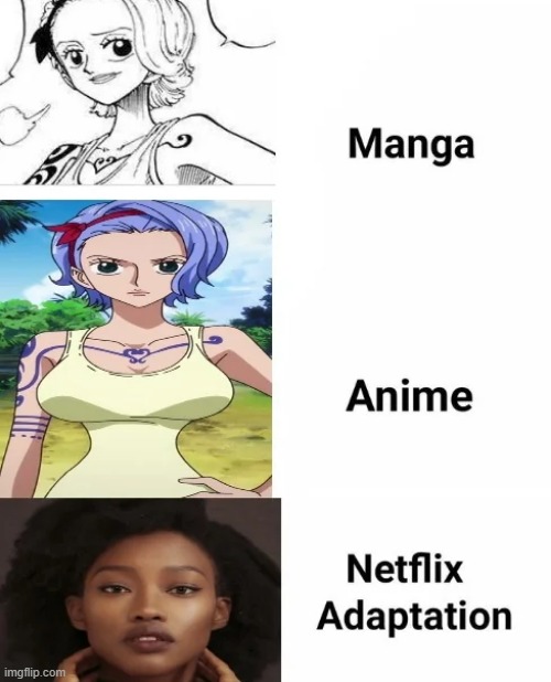 One Piece The Netflix Adoption Nojiko | image tagged in anime,one piece,netflix,netflix adaptation,ebony,wtf | made w/ Imgflip meme maker
