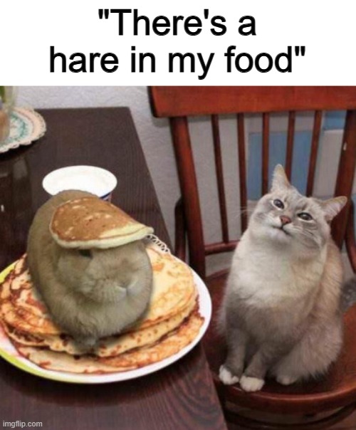 That bunny looks adorable btw ^-^ | "There's a hare in my food" | made w/ Imgflip meme maker