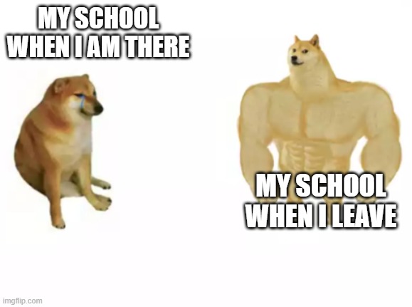 This is so annoying | MY SCHOOL WHEN I AM THERE; MY SCHOOL WHEN I LEAVE | image tagged in buff doge vs cheems reversed | made w/ Imgflip meme maker