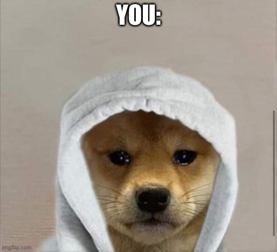 crying hood dog | YOU: | image tagged in crying hood dog | made w/ Imgflip meme maker