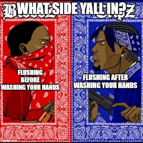 What side are you guys on? | WHAT SIDE YALL IN? FLUSHING BEFORE WASHING YOUR HANDS; FLUSHING AFTER WASHING YOUR HANDS | image tagged in blood and crip | made w/ Imgflip meme maker