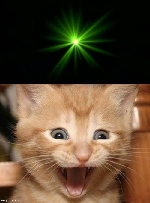 The last thing a laser pointer sees... | image tagged in green laser,memes,excited cat,attack,cat | made w/ Imgflip meme maker