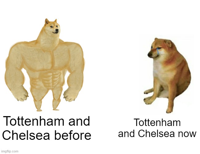 They are so bad now | Tottenham and Chelsea before; Tottenham and Chelsea now | image tagged in memes,buff doge vs cheems | made w/ Imgflip meme maker