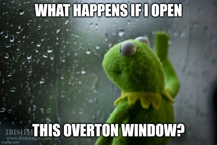 Underton Door | WHAT HAPPENS IF I OPEN; THIS OVERTON WINDOW? | image tagged in kermit window | made w/ Imgflip meme maker