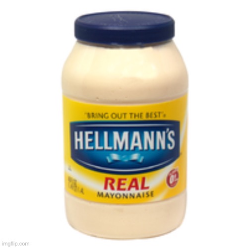 mayonnaise | image tagged in memes,funny,cats,gifs,politics,gaming | made w/ Imgflip meme maker