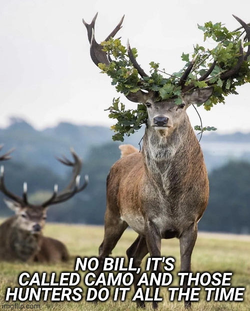 camo | NO BILL, IT'S CALLED CAMO AND THOSE HUNTERS DO IT ALL THE TIME | image tagged in memes | made w/ Imgflip meme maker