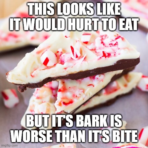 peppermint bark | THIS LOOKS LIKE IT WOULD HURT TO EAT; BUT IT'S BARK IS WORSE THAN IT'S BITE | image tagged in please help me | made w/ Imgflip meme maker