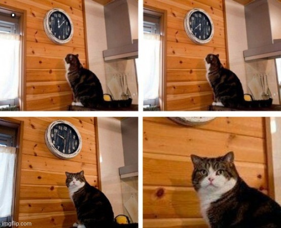Cat clock its time | . | image tagged in cat clock its time | made w/ Imgflip meme maker