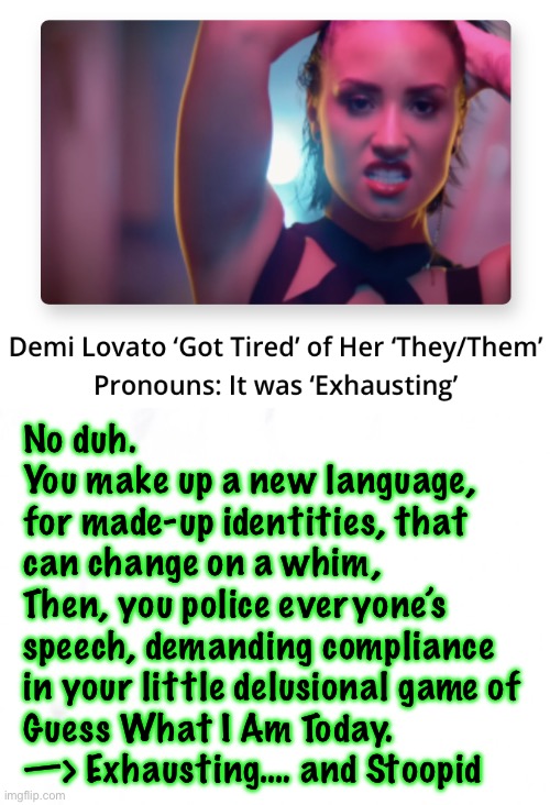 Demi Who? | No duh.
You make up a new language,
for made-up identities, that
can change on a whim, 
Then, you police everyone’s
speech, demanding compliance
in your little delusional game of
Guess What I Am Today. 
—> Exhausting…. and Stoopid | image tagged in memes,names,tiring,silly | made w/ Imgflip meme maker