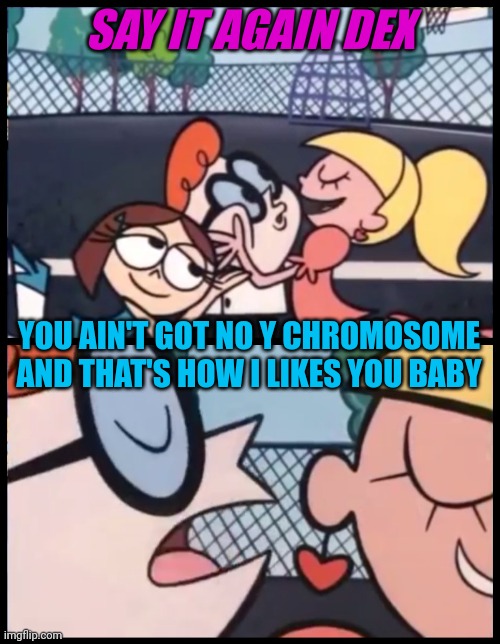 We like the girly girls | SAY IT AGAIN DEX; YOU AIN'T GOT NO Y CHROMOSOME AND THAT'S HOW I LIKES YOU BABY | image tagged in memes,say it again dexter | made w/ Imgflip meme maker