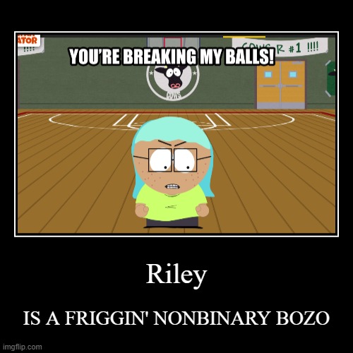Riley | IS A FRIGGIN' NONBINARY BOZO | image tagged in funny,demotivationals | made w/ Imgflip demotivational maker