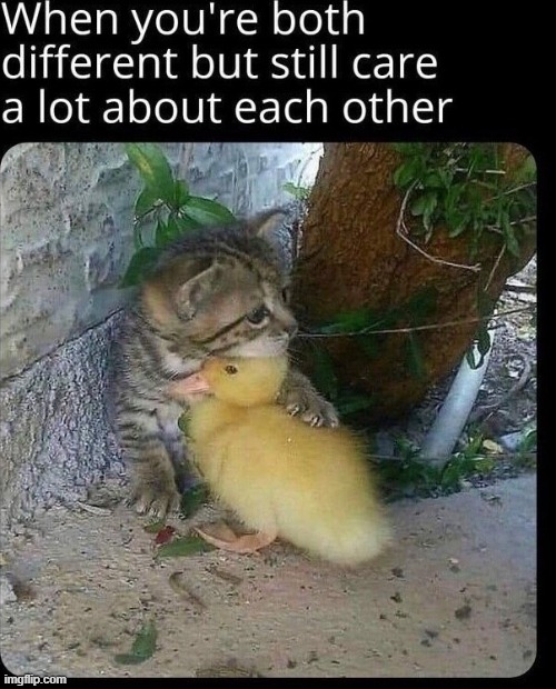 image tagged in repost | made w/ Imgflip meme maker