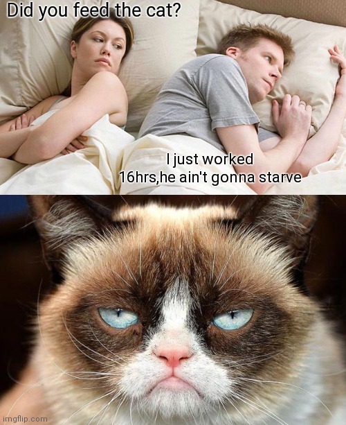 Did you feed the cat? I just worked 16hrs,he ain't gonna starve | image tagged in memes,i bet he's thinking about other women,grumpy cat not amused | made w/ Imgflip meme maker