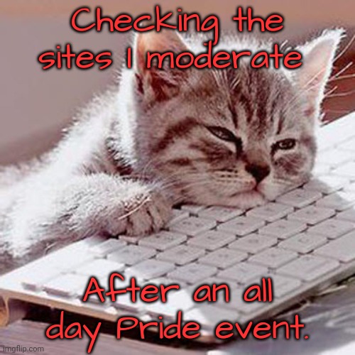 ( mod here, DONT PUT YOUR LOCATION ON THE INTERNET ) | Checking the sites I moderate; After an all day Pride event. | image tagged in sleepy cat,lgbt,june,celebration | made w/ Imgflip meme maker