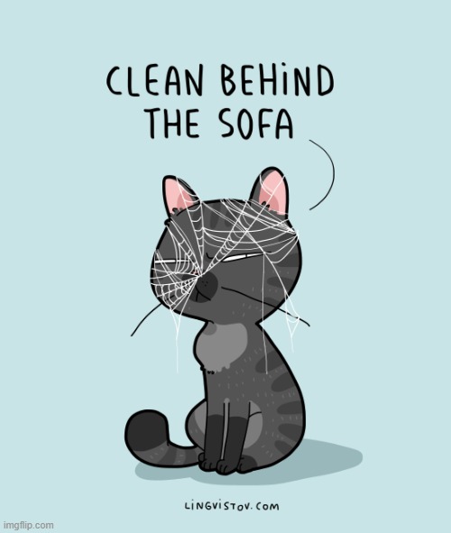 A Cat's Way Of Thinking | image tagged in memes,comics/cartoons,cats,clean up,back,sofa | made w/ Imgflip meme maker