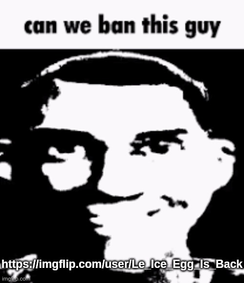 Can we ban this guy | https://imgflip.com/user/Le_Ice_Egg_Is_Back | image tagged in can we ban this guy | made w/ Imgflip meme maker