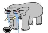 High Quality elephantjak Blank Meme Template