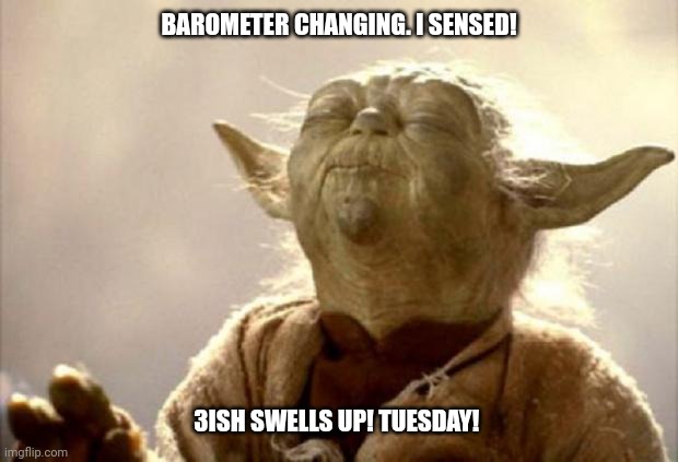 Swells up! | BAROMETER CHANGING. I SENSED! 3ISH SWELLS UP! TUESDAY! | image tagged in yoda smell | made w/ Imgflip meme maker