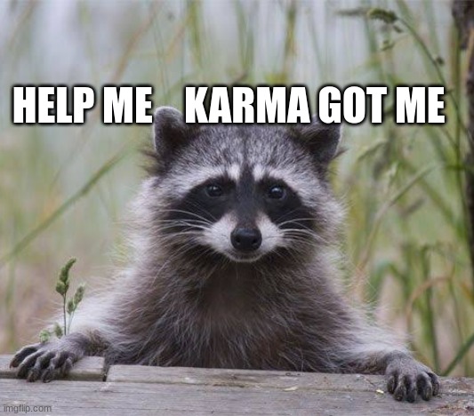 Racoon face | HELP ME    KARMA GOT ME | image tagged in racoon face | made w/ Imgflip meme maker