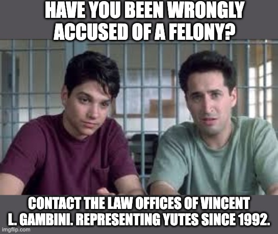 Law | HAVE YOU BEEN WRONGLY ACCUSED OF A FELONY? CONTACT THE LAW OFFICES OF VINCENT L. GAMBINI. REPRESENTING YUTES SINCE 1992. | image tagged in the look | made w/ Imgflip meme maker