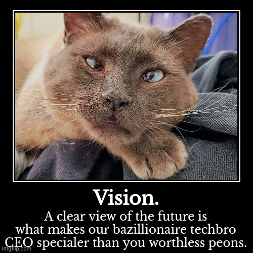 Vision. | A clear view of the future is what makes our bazillionaire techbro CEO specialer than you worthless peons. | image tagged in funny,demotivationals | made w/ Imgflip demotivational maker