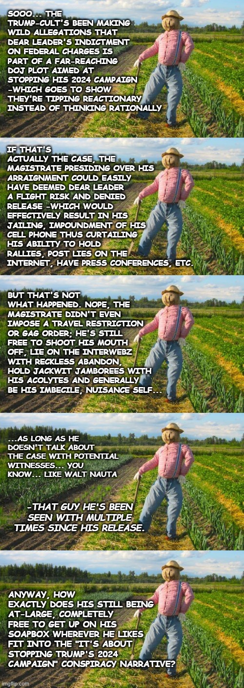 Well, howdy there Imgflip politics streamers, it's Socialism again... | IF THAT'S ACTUALLY THE CASE, THE MAGISTRATE PRESIDING OVER HIS ARRAIGNMENT COULD EASILY HAVE DEEMED DEAR LEADER A FLIGHT RISK AND DENIED RELEASE -WHICH WOULD EFFECTIVELY RESULT IN HIS JAILING, IMPOUNDMENT OF HIS CELL PHONE THUS CURTAILING HIS ABILITY TO HOLD RALLIES, POST LIES ON THE INTERNET, HAVE PRESS CONFERENCES, ETC. SOOO... THE TRUMP-CULT'S BEEN MAKING WILD ALLEGATIONS THAT DEAR LEADER'S INDICTMENT ON FEDERAL CHARGES IS PART OF A FAR-REACHING DOJ PLOT AIMED AT STOPPING HIS 2024 CAMPAIGN -WHICH GOES TO SHOW THEY'RE TIPPING REACTIONARY INSTEAD OF THINKING RATIONALLY; BUT THAT'S NOT WHAT HAPPENED. NOPE, THE MAGISTRATE DIDN'T EVEN IMPOSE A TRAVEL RESTRICTION OR GAG ORDER; HE'S STILL FREE TO SHOOT HIS MOUTH OFF, LIE ON THE INTERWEBZ WITH RECKLESS ABANDON, HOLD JACKWIT JAMBOREES WITH HIS ACOLYTES AND GENERALLY BE HIS IMBECILE, NUISANCE SELF... ...AS LONG AS HE DOESN'T TALK ABOUT THE CASE WITH POTENTIAL WITNESSES... YOU KNOW... LIKE WALT NAUTA; -THAT GUY HE'S BEEN SEEN WITH MULTIPLE TIMES SINCE HIS RELEASE. ANYWAY, HOW EXACTLY DOES HIS STILL BEING AT-LARGE, COMPLETELY FREE TO GET UP ON HIS SOAPBOX WHEREVER HE LIKES FIT INTO THE "IT'S ABOUT STOPPING TRUMP'S 2024 CAMPAIGN" CONSPIRACY NARRATIVE? | image tagged in scarecrow in field | made w/ Imgflip meme maker