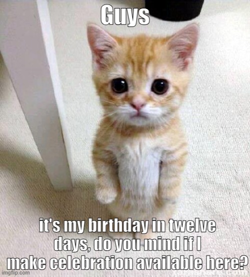 Cute Cat | Guys; it's my birthday in twelve days, do you mind if I make celebration available here? | image tagged in memes,cute cat | made w/ Imgflip meme maker