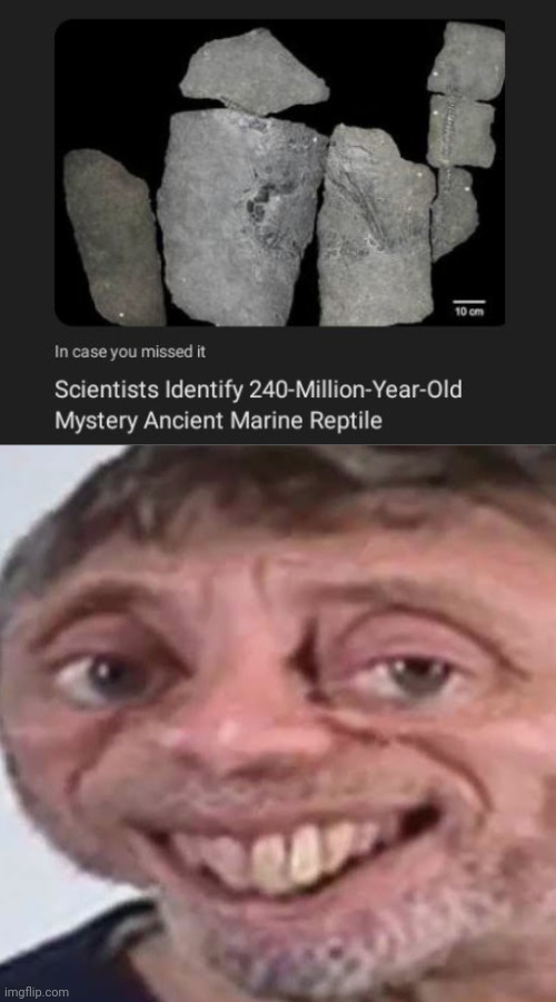 Marine reptile | image tagged in noice,science,marine,reptile,memes,mystery | made w/ Imgflip meme maker