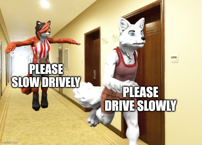 PLEASE SLOW DRIVELY PLEASE DRIVE SLOWLY | image tagged in candystripe running from floating gingerfox | made w/ Imgflip meme maker