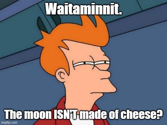 Futurama Fry Meme | Waitaminnit. The moon ISN'T made of cheese? | image tagged in memes,futurama fry | made w/ Imgflip meme maker