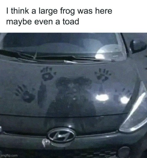 image tagged in memes | made w/ Imgflip meme maker