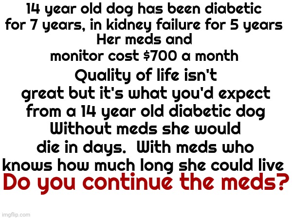 I Keep Thinking About All The Dogs Whose Guardians Can't Afford Their Meds.  It's Something To Ponder | 14 year old dog has been diabetic for 7 years, in kidney failure for 5 years; Her meds and monitor cost $700 a month; Quality of life isn't great but it's what you'd expect from a 14 year old diabetic dog; Without meds she would die in days.  With meds who knows how much long she could live; Do you continue the meds? | image tagged in memes,veterinarian bills,medicine is expensive,diabetic dogs,special kind of stupid,medicine should be affordable | made w/ Imgflip meme maker