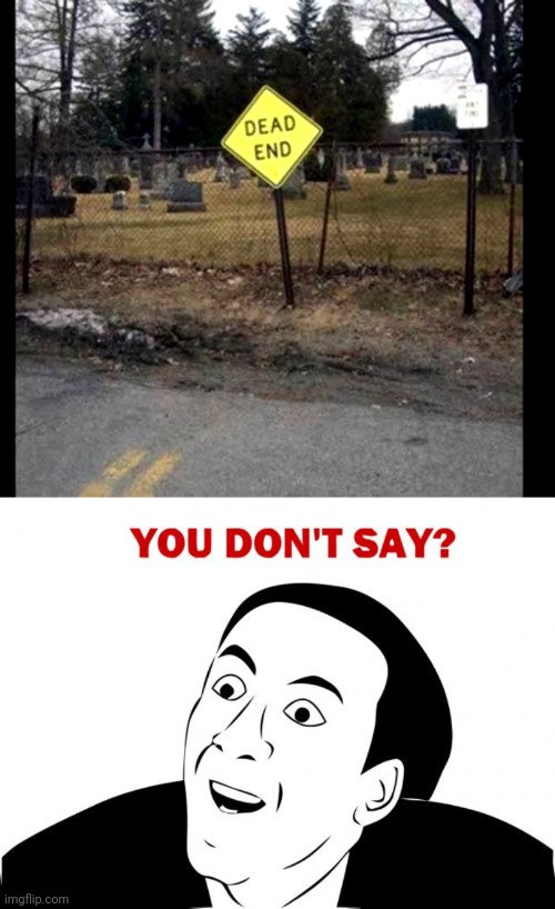 A REAL DEAD END | image tagged in memes,you don't say,cemetery,graveyard | made w/ Imgflip meme maker