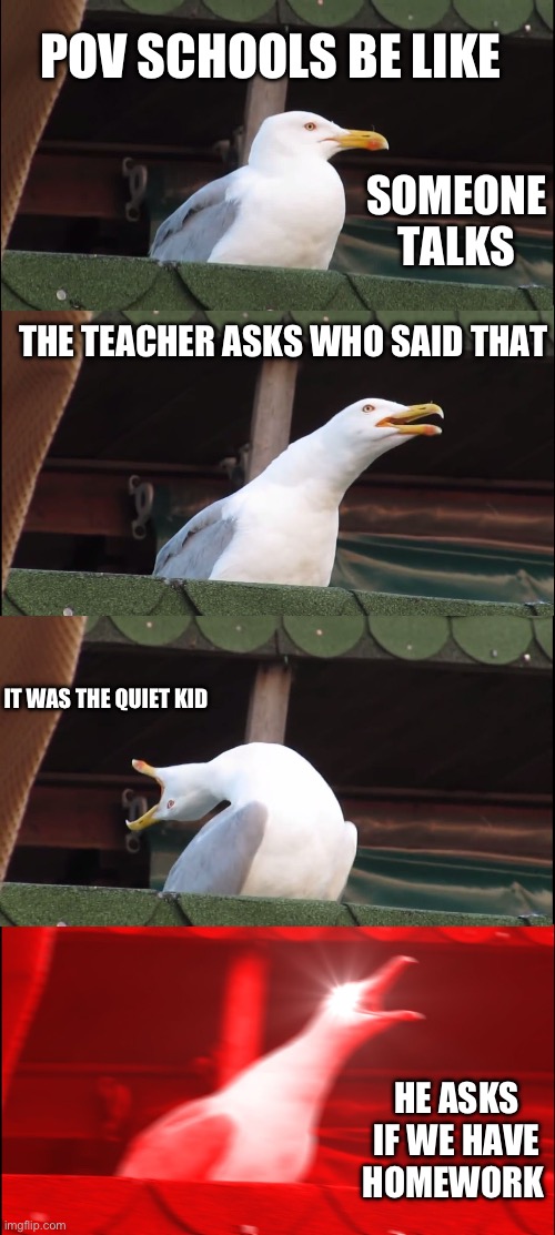 Inhaling Seagull Meme | POV SCHOOLS BE LIKE; SOMEONE TALKS; THE TEACHER ASKS WHO SAID THAT; IT WAS THE QUIET KID; HE ASKS IF WE HAVE HOMEWORK | image tagged in memes,inhaling seagull | made w/ Imgflip meme maker