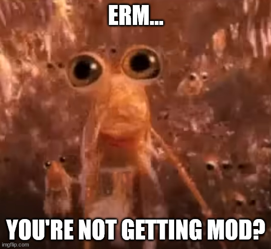 Krill... | ERM... YOU'RE NOT GETTING MOD? | image tagged in krill | made w/ Imgflip meme maker