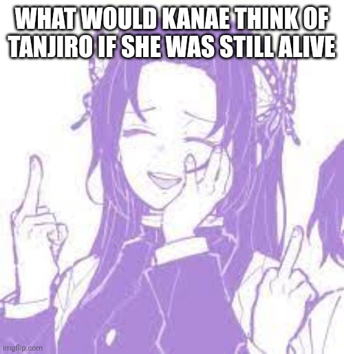I wonder what would happen | WHAT WOULD KANAE THINK OF TANJIRO IF SHE WAS STILL ALIVE | image tagged in middle finger kanae kochou,demon slayer,questions | made w/ Imgflip meme maker