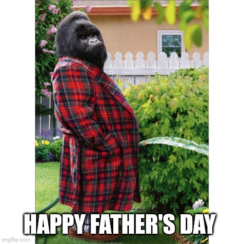 Gorilla dad | HAPPY FATHER'S DAY | image tagged in fathers day | made w/ Imgflip meme maker