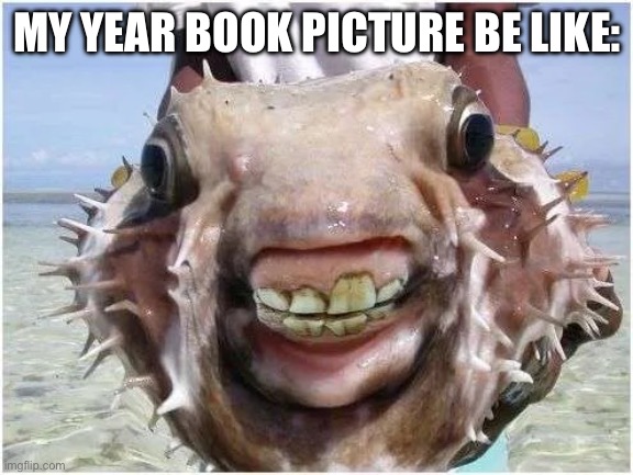 MY YEAR BOOK PICTURE BE LIKE: | image tagged in freaky boi | made w/ Imgflip meme maker
