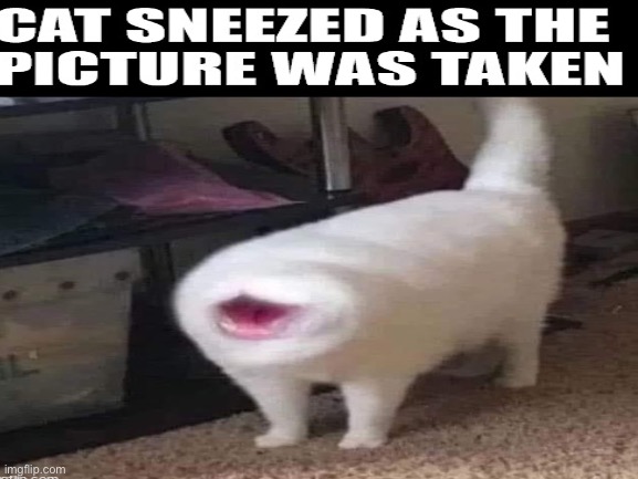 Lol | image tagged in sneeze | made w/ Imgflip meme maker