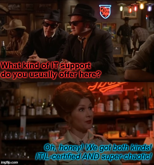 Everybody's got an IT department, right...? | What kind of IT support do you usually offer here? Oh, honey! We got both kinds! ITIL-certified AND super-chaotic! | image tagged in blues brothers both kinds | made w/ Imgflip meme maker