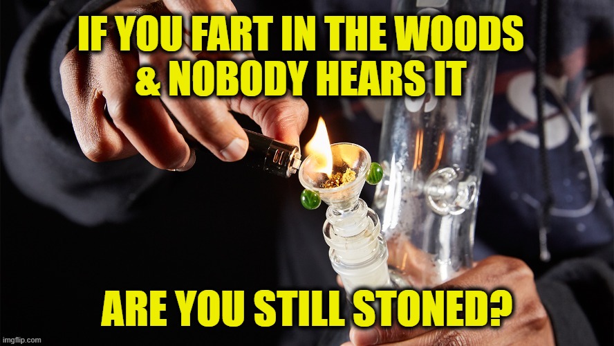 Stoner Koan | IF YOU FART IN THE WOODS
& NOBODY HEARS IT; ARE YOU STILL STONED? | image tagged in pothead | made w/ Imgflip meme maker