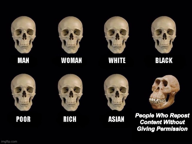 this might not relate to imgflip… | People Who Repost Content Without Giving Permission | image tagged in empty skulls of truth | made w/ Imgflip meme maker