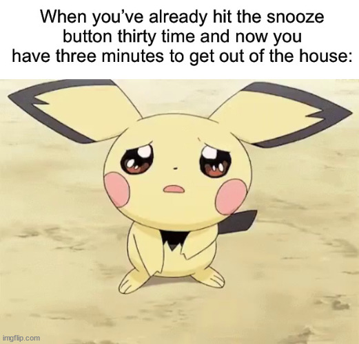 Don't mind me just stealing Iceu memes and replacing the image with pokemon | image tagged in sad pichu | made w/ Imgflip meme maker