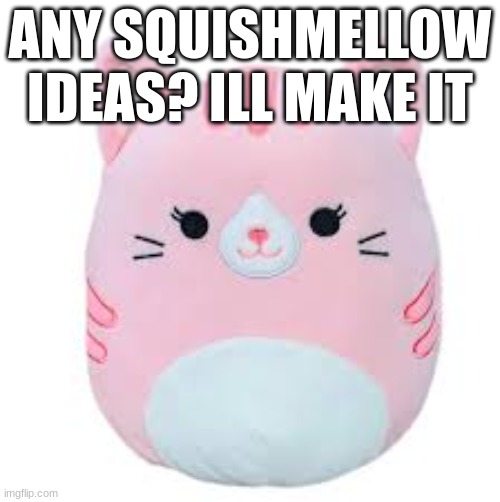 idk for the title so i will say ... | ANY SQUISHMELLOW IDEAS? ILL MAKE IT | image tagged in kitty | made w/ Imgflip meme maker