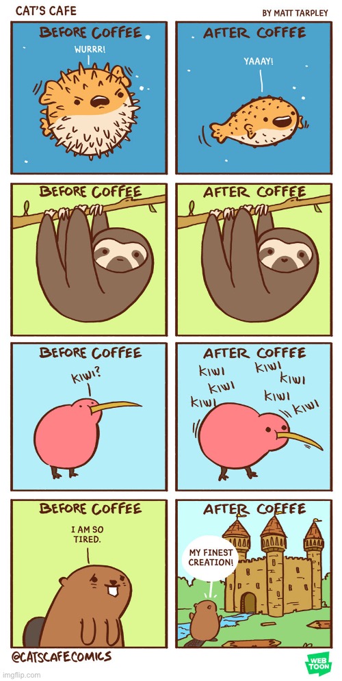 Beaver hasn’t come back, but for the rest, this is their debut! | image tagged in coffee,fish,sloth,kiwi,beaver | made w/ Imgflip meme maker