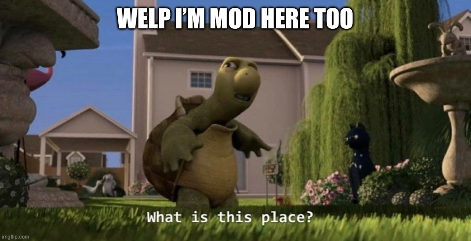 What is this place | WELP I’M MOD HERE TOO | image tagged in what is this place | made w/ Imgflip meme maker