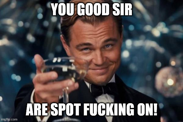 Leonardo Dicaprio Cheers Meme | YOU GOOD SIR ARE SPOT FUCKING ON! | image tagged in memes,leonardo dicaprio cheers | made w/ Imgflip meme maker